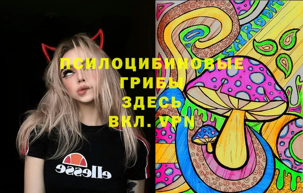2c-b Алексин