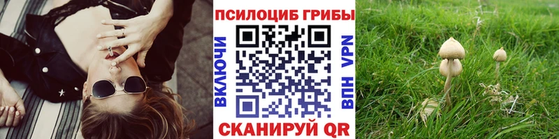 где найти наркотики  Куртамыш  Галлюциногенные грибы мицелий 