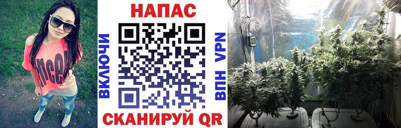 МАРИХУАНА Amnesia  Куртамыш 